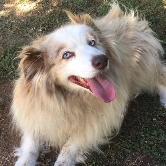 Meet your Posher, Heather - Picture 1 of 1